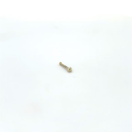 Gouden neuspiercing